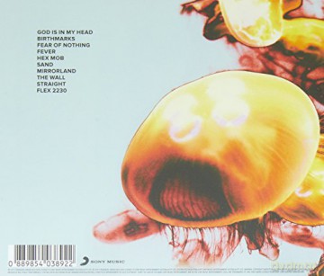 Strangers: Strangers - Mirrorland [CD]
