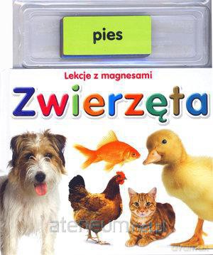 Zwierzęta. Lekcje z magnesami [KSIĄŻKA]