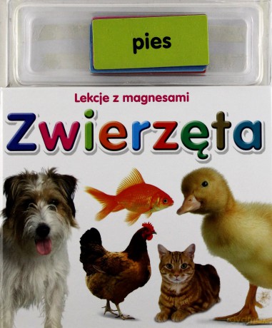 Zwierzęta. Lekcje z magnesami [KSIĄŻKA]