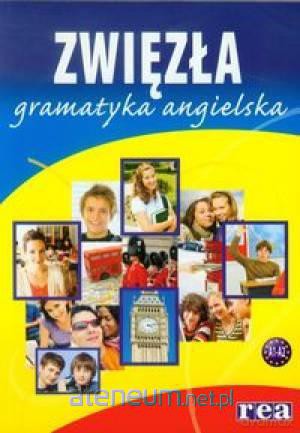 Zwięzła gramatyka angielska [KSIĄŻKA]