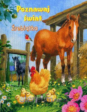 Źrebiątka. Poznawaj świat [KSIĄŻKA]
