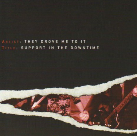 They Drove Me to It: Support in the Downtime [CD]