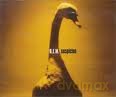 R.E.M.: Suspicion [CD]