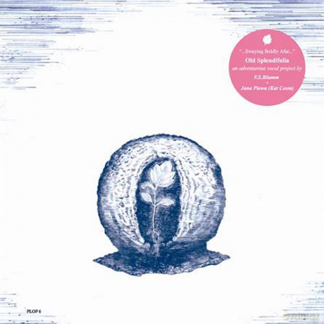 Old Splendifolia: Swaying Boldly Afar [CD]
