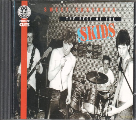 Skids: Sweet Suburbia-Best Of [CD]