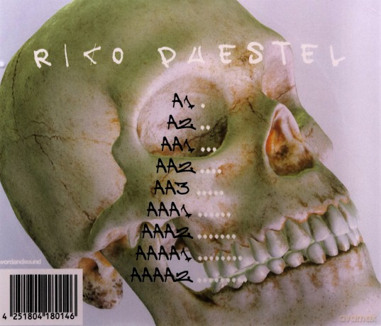 Rico Puestel: Technohasleftthebuilding: The Aftermath [CD]