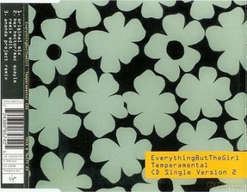 Everything But The Girl: Temperamental [CD]