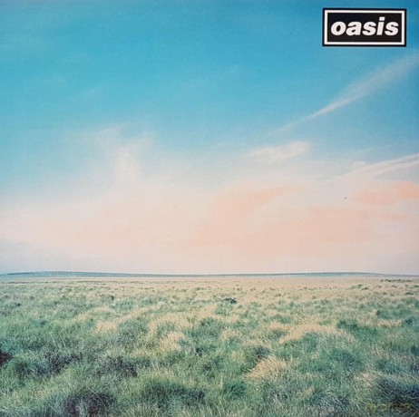 Oasis: Whatever (30th Anniversary) [Winyl]