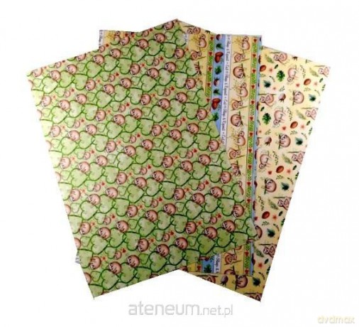 Karton 300g leniwce 24x34cm 3 ark MIX