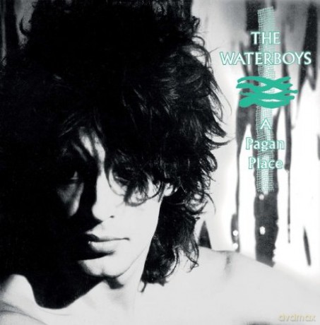 The Waterboys: Pagan Place [WINYL]
