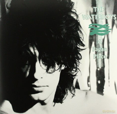 The Waterboys: Pagan Place [WINYL]