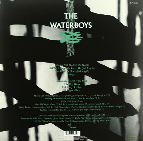 The Waterboys: Pagan Place [WINYL]