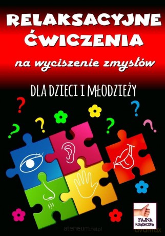 Relaksacyjne ćwiczenia na wyciszenie zmysłów - Agnieszka Wileńska [KSIĄŻKA]