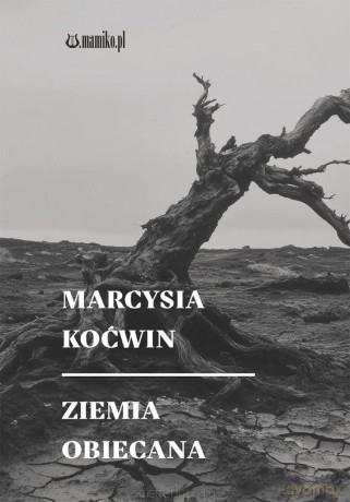 Ziemia obiecana - Marcysia Koćwin [KSIĄŻKA]