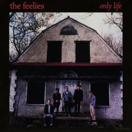 The Feelies: Only Life [Winyl]