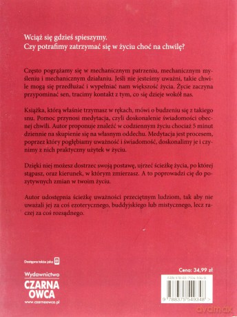 Gdziekolwiek jesteś, bądź - Kabat-Zinn Jon [KSIĄŻKA]