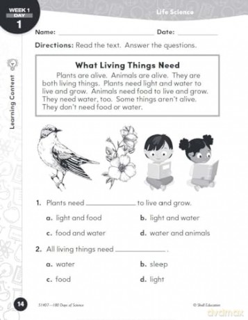 180 Days of Science for First Grade: Practice, Assess, Diagnose (180 Days of Practice) - Lauren Homayoun [KSIĄŻKA]