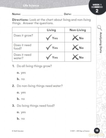 180 Days of Science for First Grade: Practice, Assess, Diagnose (180 Days of Practice) - Lauren Homayoun [KSIĄŻKA]