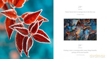 365 Thoughts of Harmony with the Seasons (365 Series) - White Star [KSIĄŻKA]