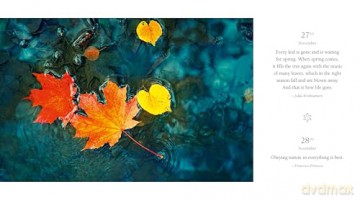 365 Thoughts of Harmony with the Seasons (365 Series) - White Star [KSIĄŻKA]