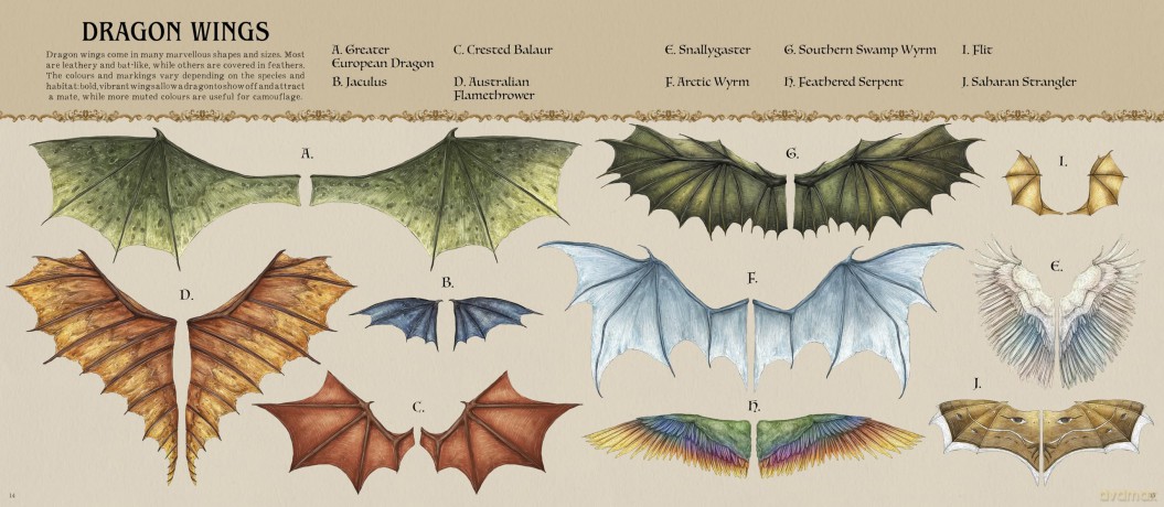 A Natural History of Dragons (Folklore Field Guides) - Emily Hawkins [KSIĄŻKA]