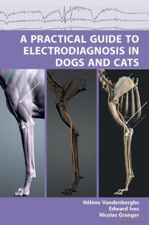 A Practical Guide to Electrodiagnosis in Dogs and Cats - Helene Vandenberghe [KSIĄŻKA]