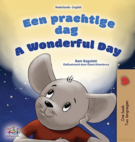 A Wonderful Day (Dutch English Bilingual Children's Book) (Dutch English Bilingual Collection) - Sam Sagolski [KSIĄŻKA]