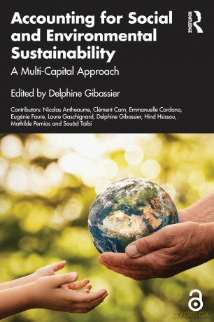 Accounting for Social and Environmental Sustainability: A Multi-Capital Approach (Routledge Studies in Accounting) - Delphine Gibassier [KSIĄŻKA]