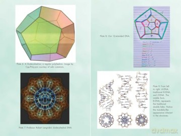 Activating Our 12-Stranded DNA: Secrets of Dodecahedral DNA for Completing Our Human Evolution - Ruslana Remennikova [KSIĄŻKA]