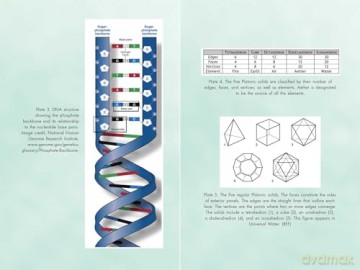 Activating Our 12-Stranded DNA: Secrets of Dodecahedral DNA for Completing Our Human Evolution - Ruslana Remennikova [KSIĄŻKA]