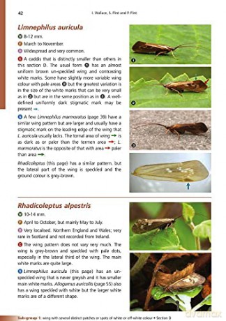 Adult Caddis (Trichoptera) of Britain and Ireland: a Practical Guide (AIDGAP) - Ian Wallace [KSIĄŻKA]
