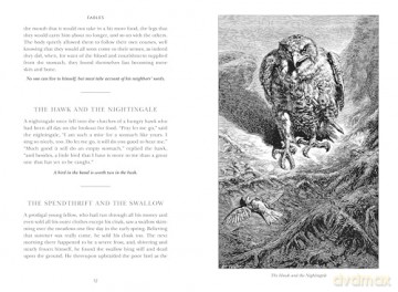 Aesop's Fables (Signature Gilded Editions) - Aesop [KSIĄŻKA]