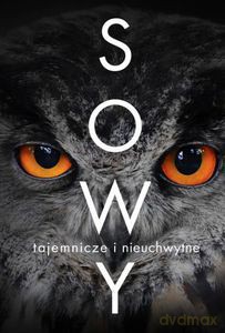 Sowy. Tajemnicze i nieuchwytne - Mrowiec Justyna [KSIĄŻKA]