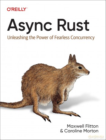 ASYNC Rust: Unleashing the Power of Fearless Concurrency - Maxwell Flitton [KSIĄŻKA]