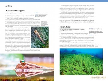 Atlas Obscura: Wild Life: An Explorer's Guide to the World's Living Wonders (Workman Adult) - Cara Giaimo [KSIĄŻKA]