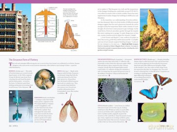 Atlas Obscura: Wild Life: An Explorer's Guide to the World's Living Wonders (Workman Adult) - Cara Giaimo [KSIĄŻKA]