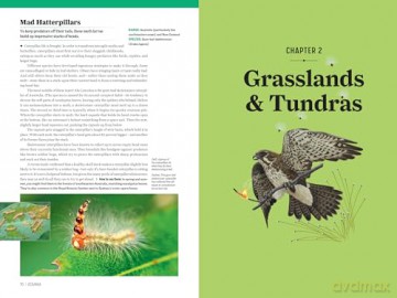 Atlas Obscura: Wild Life: An Explorer's Guide to the World's Living Wonders (Workman Adult) - Cara Giaimo [KSIĄŻKA]