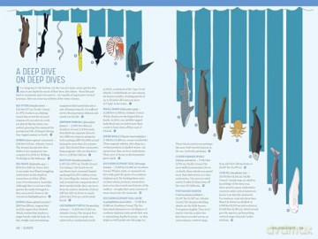 Atlas Obscura: Wild Life: An Explorer's Guide to the World's Living Wonders (Workman Adult) - Cara Giaimo [KSIĄŻKA]
