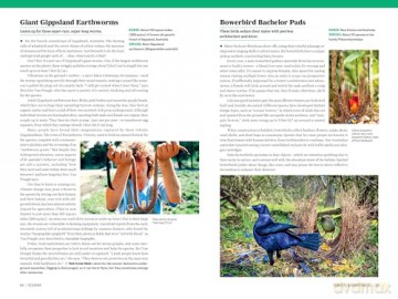 Atlas Obscura: Wild Life: An Explorer's Guide to the World's Living Wonders (Workman Adult) - Cara Giaimo [KSIĄŻKA]