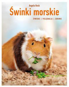 Świnki morskie. Hodowla - Beck Angela [KSIĄŻKA]