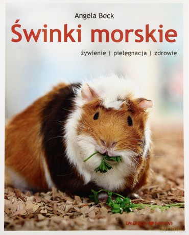 Świnki morskie. Hodowla - Beck Angela [KSIĄŻKA]