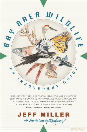 Bay Area Wildlife: An Irreverent Guide - Jeff Miller [KSIĄŻKA]