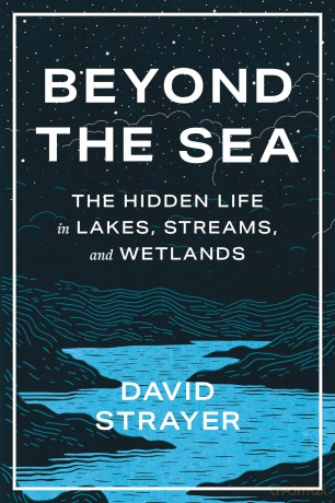 Beyond the Sea: The Hidden Life in Lakes, Streams, and Wetlands - David Strayer [KSIĄŻKA]