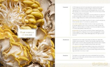 Big Vegan Flavor: Techniques and 150 Recipes to Master Vegan Cooking - Nisha Vora [KSIĄŻKA]