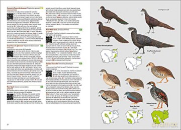 Birds of Cambodia - Cambodia Bird Guide Association (CBGA) [KSIĄŻKA]