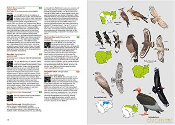 Birds of Cambodia - Cambodia Bird Guide Association (CBGA) [KSIĄŻKA]