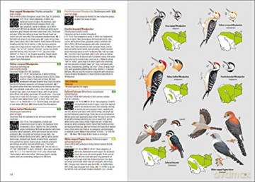 Birds of Cambodia - Cambodia Bird Guide Association (CBGA) [KSIĄŻKA]