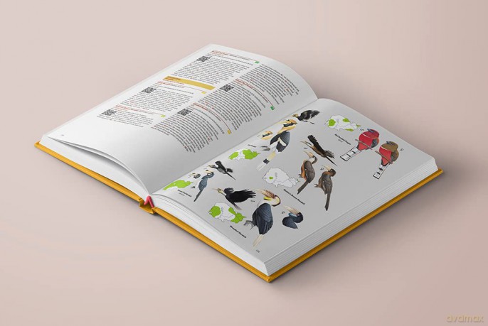 Birds of Cambodia - Cambodia Bird Guide Association (CBGA) [KSIĄŻKA]