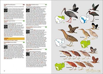 Birds of Cambodia - Cambodia Bird Guide Association (CBGA) [KSIĄŻKA]