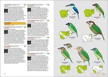 Birds of Cambodia - Cambodia Bird Guide Association (CBGA) [KSIĄŻKA]